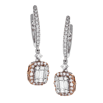 Ladies Two-Tone Earring ZE540