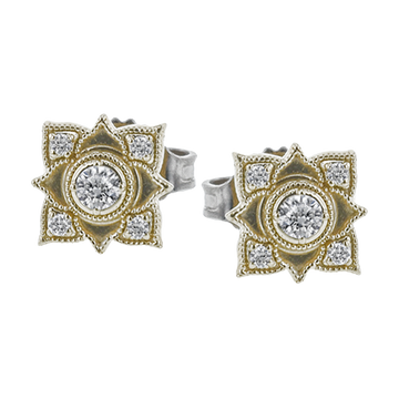 Ladies Two-Tone Earring ZE696