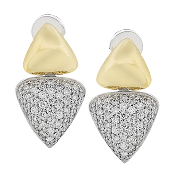 Ladies Two-Tone Earring ZE881