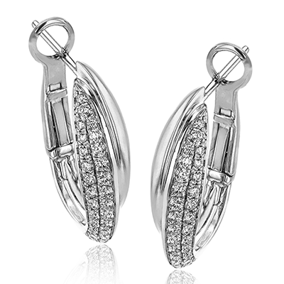 Hoop Ladies Clio Earring LE4401