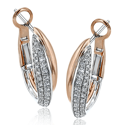 Hoop Ladies Clio Earring LE4401