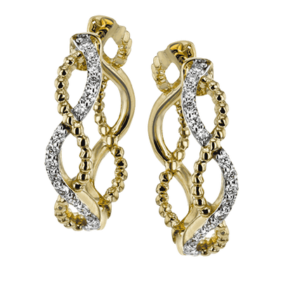 Hoop Ladies Earring LE4556