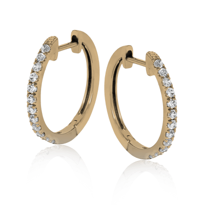 Hoop Ladies Earring ER369
