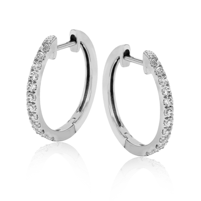 Hoop Ladies Earring ER369