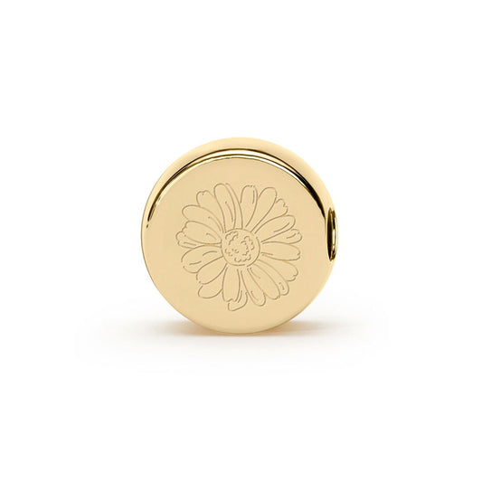 Colette C Ladies Accessory N392023