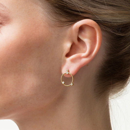 Artist Ladies Earring N374933