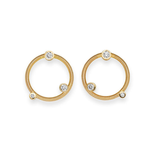 Artist Ladies Earring N374903