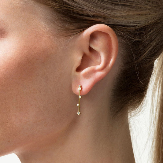 Artist Ladies Earring N374914