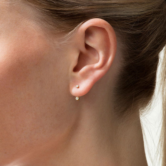 Artist Ladies Earring N374911