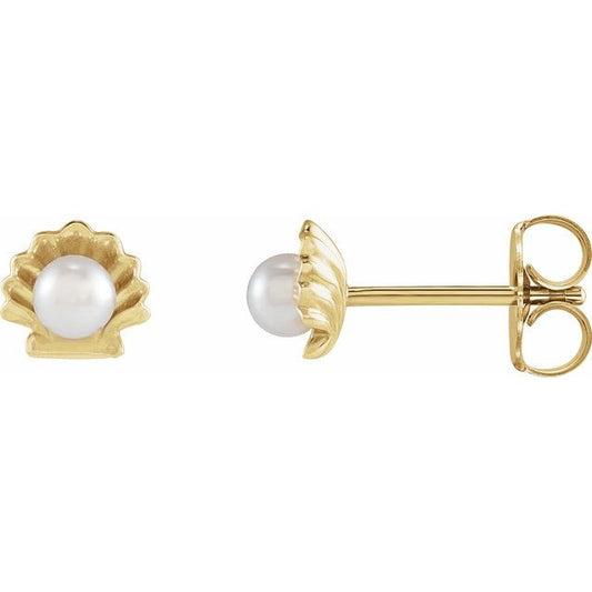 14K Yellow Cultured White Seed Pearl Shell Earrings 88204106P
