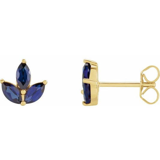 14K Yellow Natural Blue Sapphire Cluster Earrings 688828600P