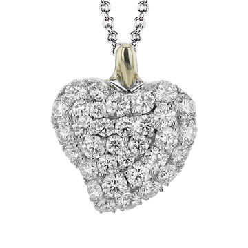 Ladies Two-Tone Pendant ZP1253
