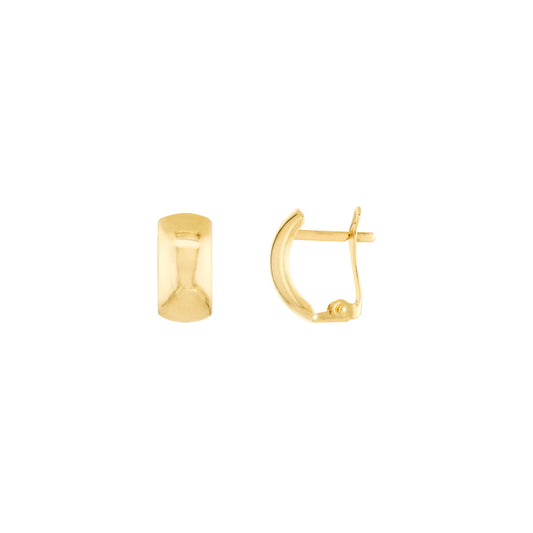 Polished Curve Earrings on Leverback